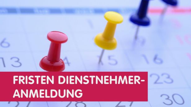 DN Anmeldung