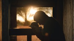 Gedanken Magdalena 2