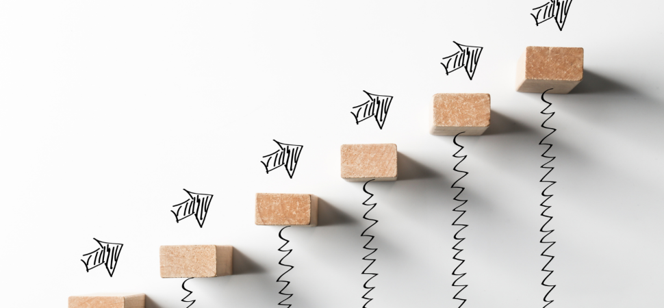 Betriebswirtschaftliche Beratung